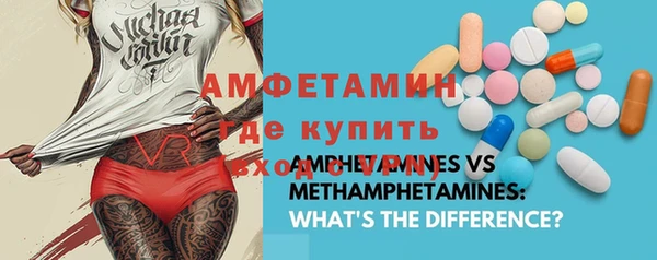 мяу мяу мука Гусь-Хрустальный