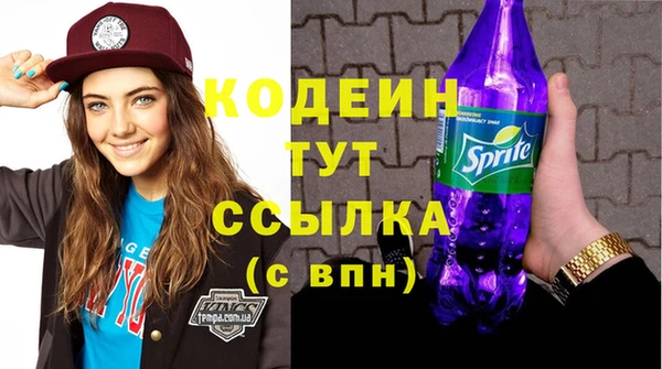 мяу мяу мука Гусь-Хрустальный
