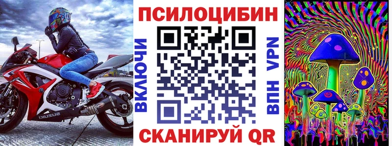 Купить где  Кологрив  Галлюциногенные грибы Magic Shrooms 
